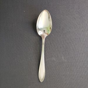 Oneida Bridal Wreath 1915 Community Silverplate Place Oval Soup Tablespoon